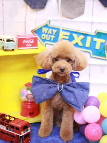 20230409モカちゃん